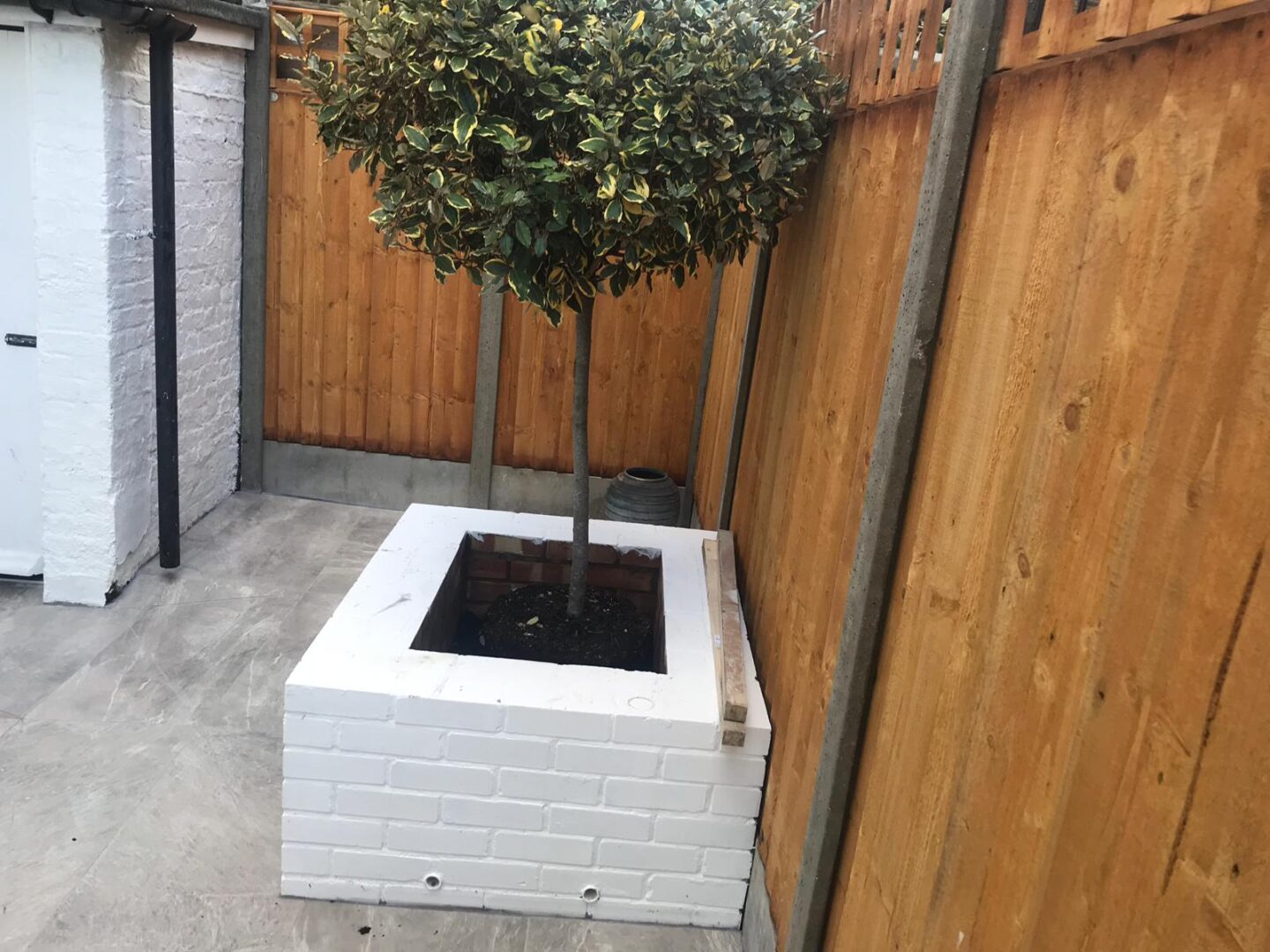 WhatsApp Image    At